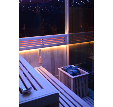 SAUNA EVOLUTION®  Indoor New Exclusive Mirror Steam Sauna Glass 13