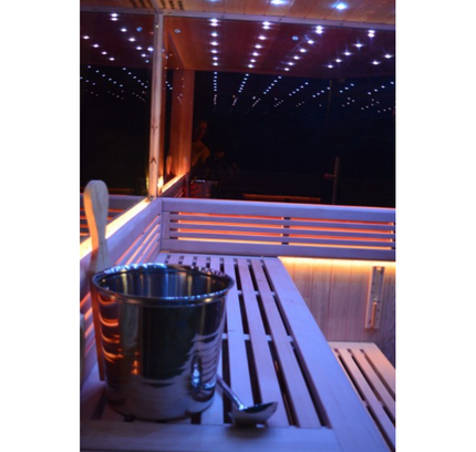 SAUNA EVOLUTION®  Indoor New Exclusive Mirror Steam Sauna Glass 13