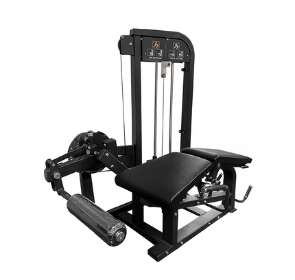 SFE Commercial Leg Extension Prone Leg Curl Combo w/250lb weight stack (New)