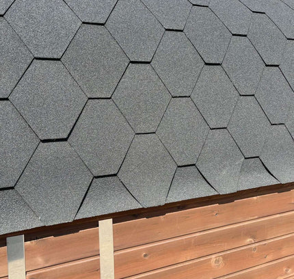 SAUNA EVOLUTION® Elegant Serenity Sauna 1