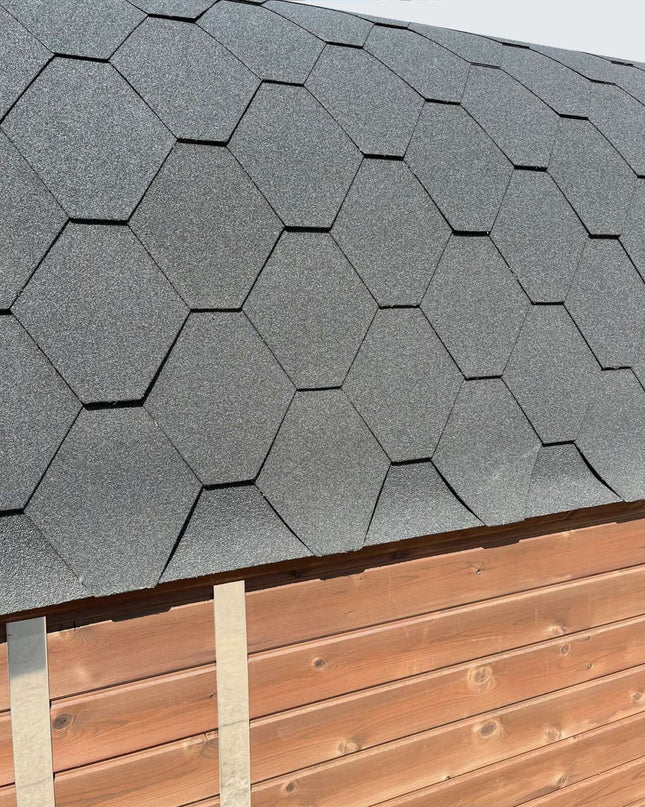 SAUNA EVOLUTION® Elegant Serenity Sauna 1