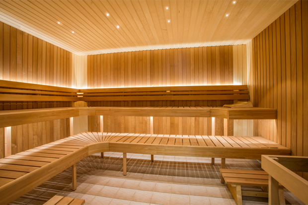 <h2>Saunas</h2>
